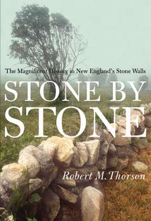 Stone by Stone: The Magnificent History in New England's Stone Walls de Robert M. Thorson