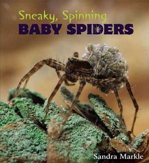 Sneaky, Spinning Baby Spiders de Sandra Markle