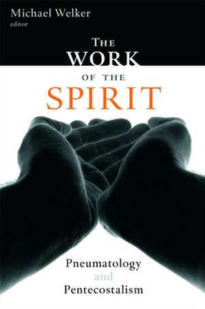 The Work of the Spirit: Pneumatology and Pentecostalism de Michael Welker