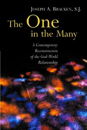 The One in the Many: A Contemporary Reconstruction of the God-World Relationship de Joseph A. Bracken