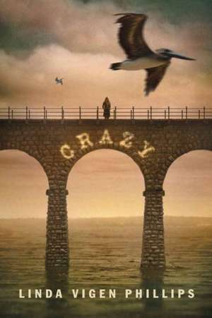 Crazy de Linda Vigen Phillips