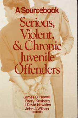 Serious, Violent, and Chronic Juvenile Offenders: A Sourcebook de James C. Howell