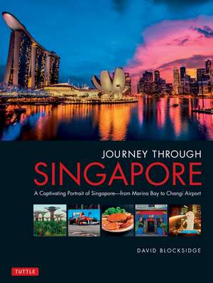 Journey Through Singapore: A Captivating Portrait of Singapore - from Marina Bay to Changi Airport de David Blocksidge