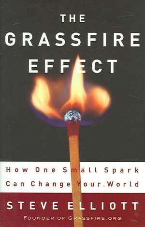 The Grassfire Effect: How One Small Spark Can Change Your World de Steve Elliott