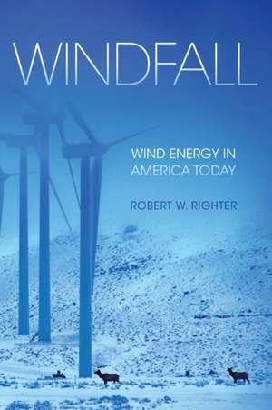 Windfall de Robert W. Righter