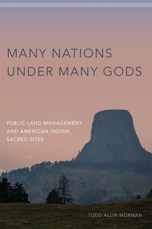 MANY NATIONS UNDER MANY GODS de Todd Allin Morman