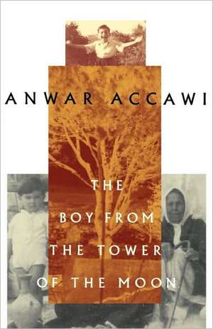 The Boy from the Tower of the Moon de Anwar Accawi