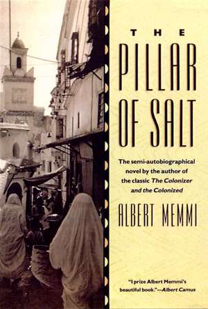 Pillar of Salt de Albert Memmi