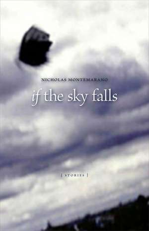 If the Sky Falls de Nicholas Montemarano