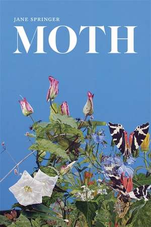 Moth de Jane Springer