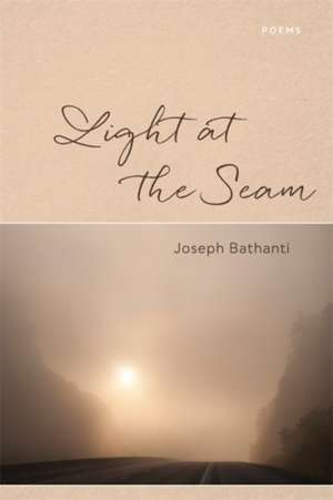 Light at the Seam de Joseph Bathanti