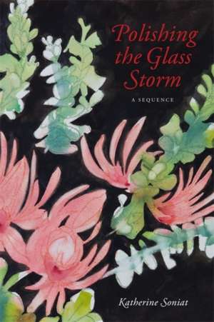 Polishing the Glass Storm de Katherine Soniat