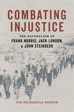 Combating Injustice de Jon Falsarella Dawson