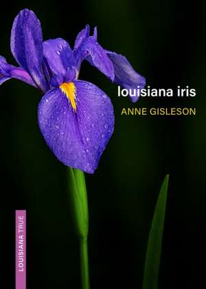 Louisiana Iris de Anne Gisleson