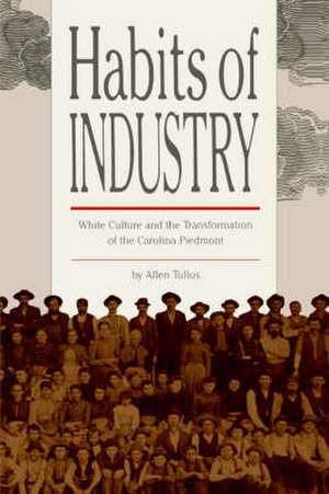 Habits of Industry de Allen Tullos