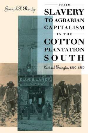 From Slavery to Agrarian Capitalism in the Cotton Plantation South de Joseph P. Reidy