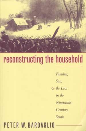 Reconstructing the Household de Peter W. Bardaglio