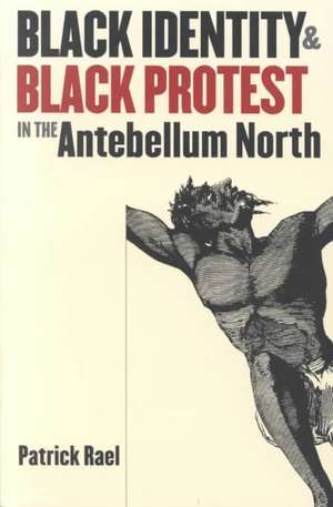 Black Identity and Black Protest in the Antebellum North de Patrick Rael