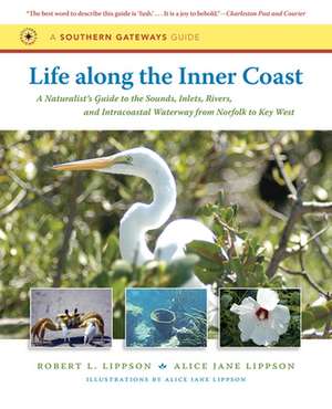 Life Along the Inner Coast: A Naturalist's Guide to the Sounds, Inlets, Rivers, and Intracoastal Waterway from Norfolk to Key West de Robert L. Lippson