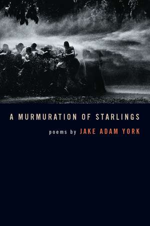 A Murmuration of Starlings de Jake Adam York