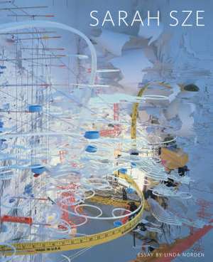 Sarah Sze de Linda Norden