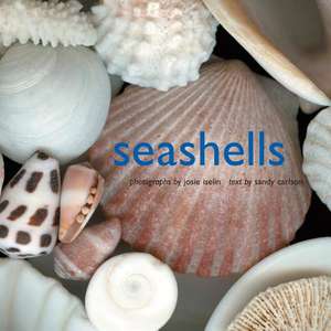 Seashells de Josie Iselin