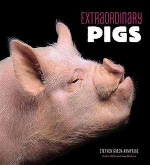 Extraordinary Pigs de Stephen Green-Armytage