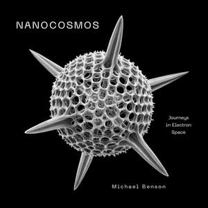 Nanocosmos de Michael Benson