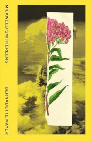 Milkweed Smithereens de Bernadette Mayer