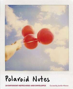 Polaroid Notes Notecards: 100 Artists Play a Collaborative Game de Jenifer Altman