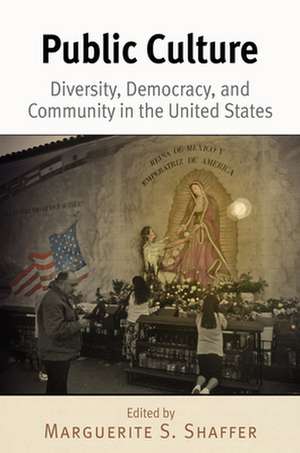 Public Culture – Diversity, Democracy, and Community in the United States de Marguerite S. Shaffer