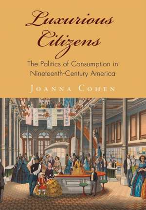 Luxurious Citizens – The Politics of Consumption in Nineteenth–Century America de Joanna Cohen