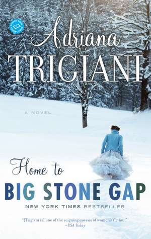 Home to Big Stone Gap de Adriana Trigiani