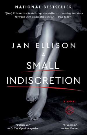 A Small Indiscretion de Jan Ellison