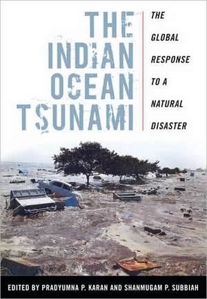 The Indian Ocean Tsunami de Pradyumna P. Karan