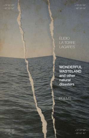 Wonderful Wasteland and other natural disasters de Elidio La Torre Lagares