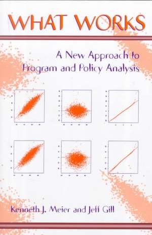 What Works: A New Approach To Program And Policy Analysis de Kenneth Meier