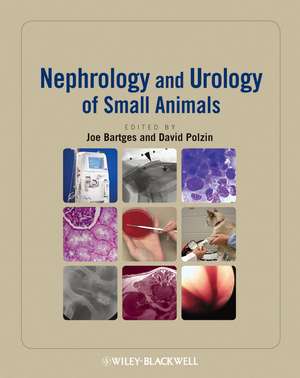 Nephrology and Urology of Small Animals de J Bartges