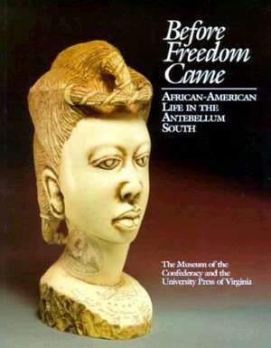 Before Freedom Came: African-American Life in the Antebellum South de Edward D. C. Campbell