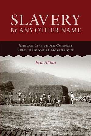 Slavery by Any Other Name de Eric Allina