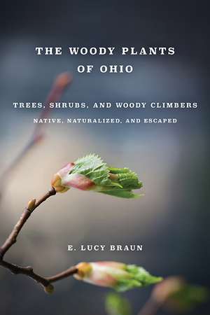 WOODY PLANTS OF OHIO: Trees, Shrubs, and Woody Climbers: Native, Naturalized, and Escaped de E. Lucy Braun