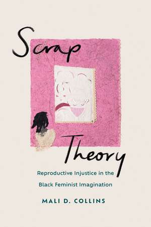 Scrap Theory: Reproductive Injustice in the Black Feminist Imagination de Mali D. Collins