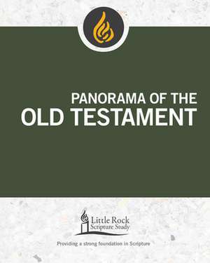 Panorama of the Old Testament de Stephen J Binz