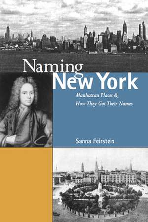 Naming New York – Manhattan Places and How They Got Their Names de Sanna Feirstein