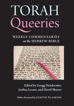 Torah Queeries – Weekly Commentaries on the Hebrew Bible de Gregg Drinkwater