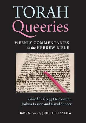 Torah Queeries de Gregg Drinkwater