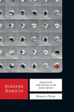 Judging Addicts – Drug Courts and Coercion in the Justice System de Rebecca Tiger