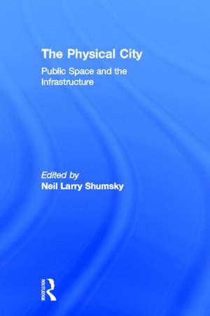 The Physical City: Public Space and the Infrastructure de Neil L. Shumsky