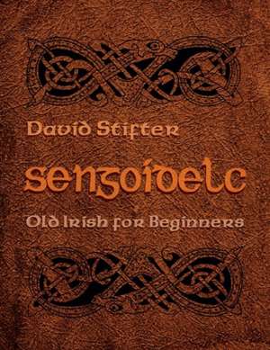 Sengoidelc: Old Irish for Beginners de David Stifter