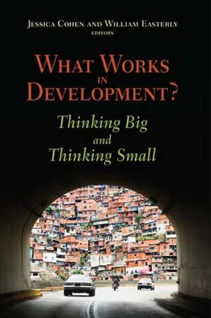 What Works in Development?: Thinking Big and Thinking Small de Jessica Cohen